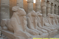 ram-headed sphinxes and pillars