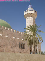 dome, minaret, and palm