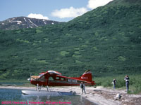 deHavilland Beaver floatplane on a lake